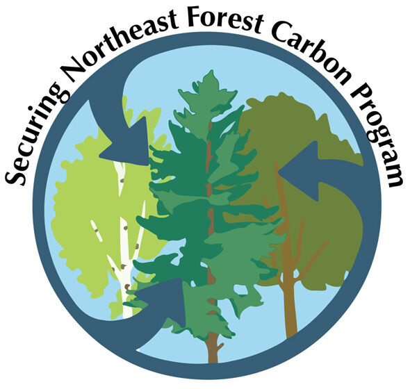 Securing Northeast Forest Carbon Program